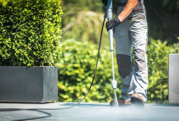 Best Concrete Surface Cleaning in Sauk Vlage, IL
